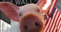 Отчет Министерства сельского хозяйства США (USDA) “О состоянии дел в отрасли свиноводства поданным на 1 июня 2017 года